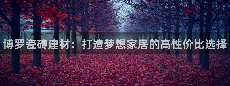 杏鑫平台代理注册流程视频