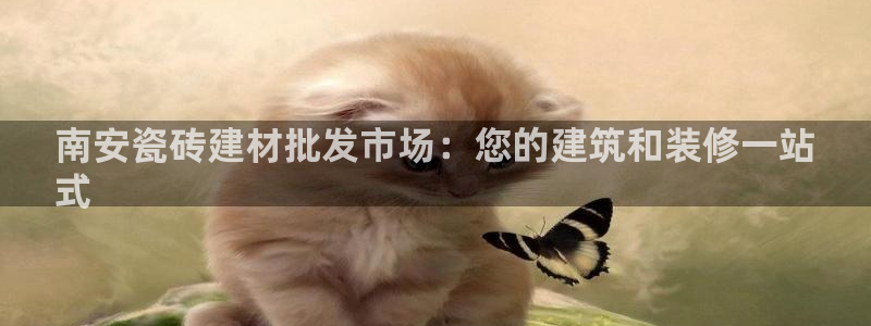 杏鑫平台代理注册多少钱一个