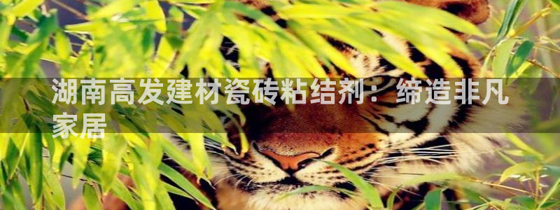 杏鑫平台注册入口在哪