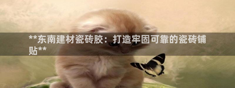 杏鑫平台代理注册登录不了怎么办呀视频