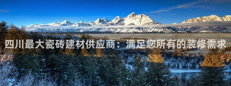 杏鑫注册登录代理公司