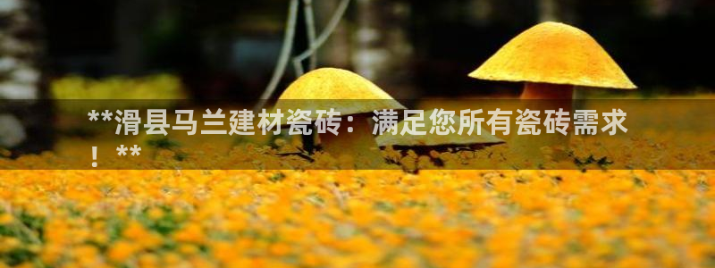 杏鑫平台登录注册