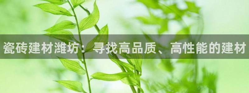 杏鑫平台代理注册登录不了怎么办呀苹果