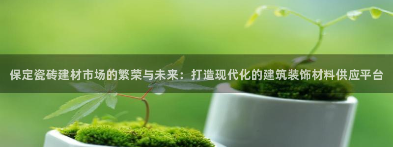 杏鑫官网注册账号是什么意思