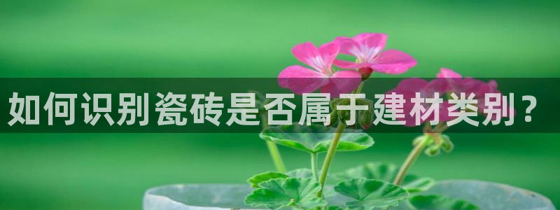 杏鑫平台招商怎么样可靠吗