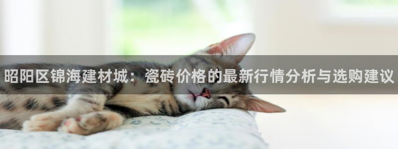 杏鑫平台代理注册流程及费用