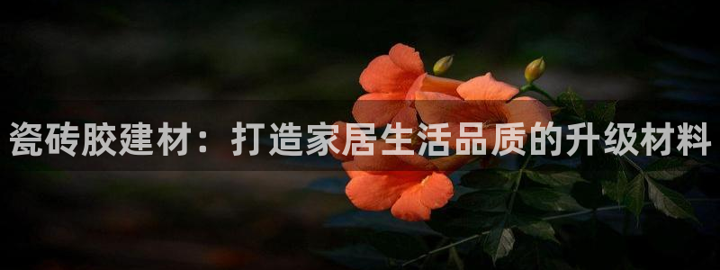 杏鑫平台招商电话