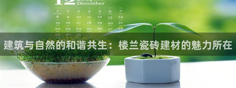 杏鑫平台代理注册多少钱一年