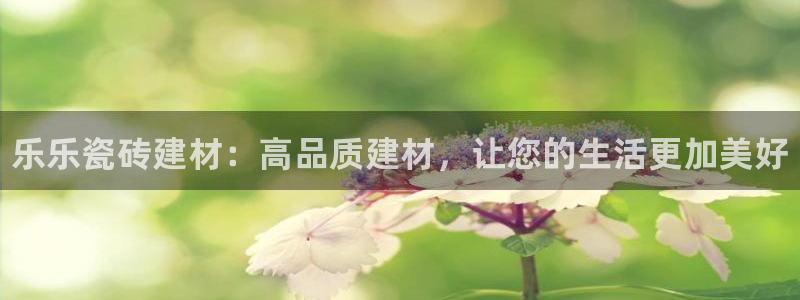 杏鑫注册平台官方网站是什么